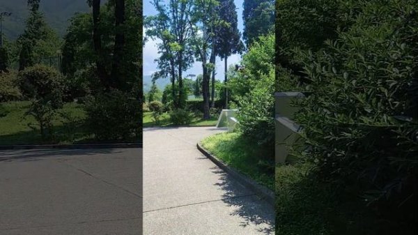 Санаторий ЮГ г.Сочи