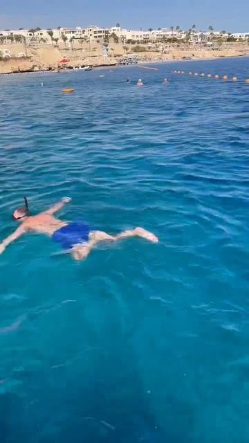 Sierra hotel. Sharm el Sheikh. Egypt. Red Sea. Египет. Отель Сиерра. Шарм эль Шейх смотреть онлайн