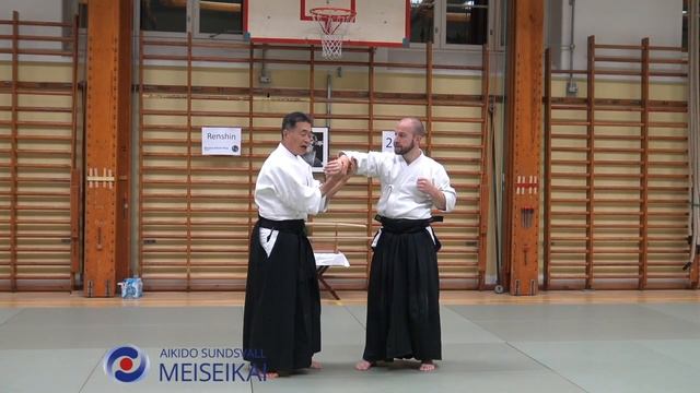 10 Aikido Katadorimenuchi Nikyo Uchite, Shishiya Sensei Malmö 2015
