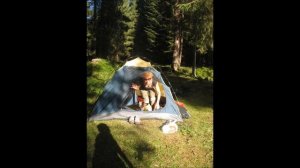 кто же мне в палатке на морду наступил