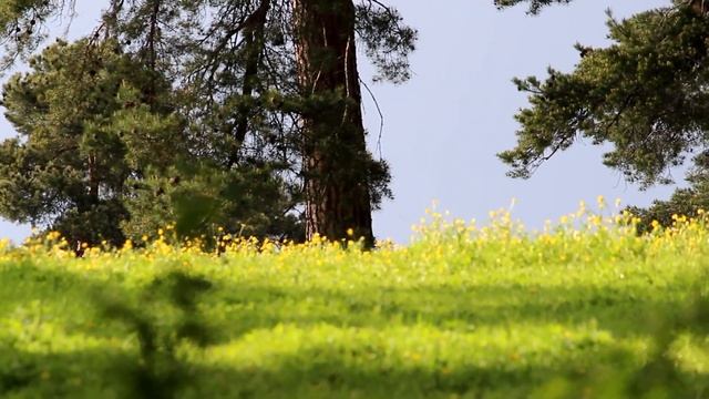 Природа Ахалцихе смотреть онлайн