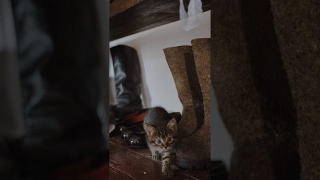 Отдых для души в Воронеж.обл.ТИХИЕ ДИВЫ #базаотдыха #белогорье #воронеж #павловск #дон #природа