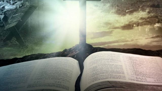 Беседы на Книгу Бытия (протоиерей Олег Стеняев, часть 7) смотреть онлайн