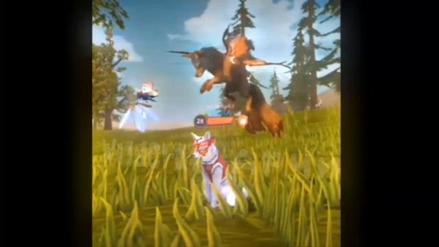 WildCraft Edith Fox.