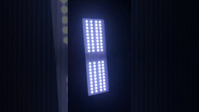 Chihiros vivid mini смотреть онлайн