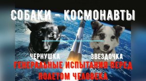 История Космонавтики: «Собаки - Космонавты.  Чернушка, Звездочки и генеральные испытания»