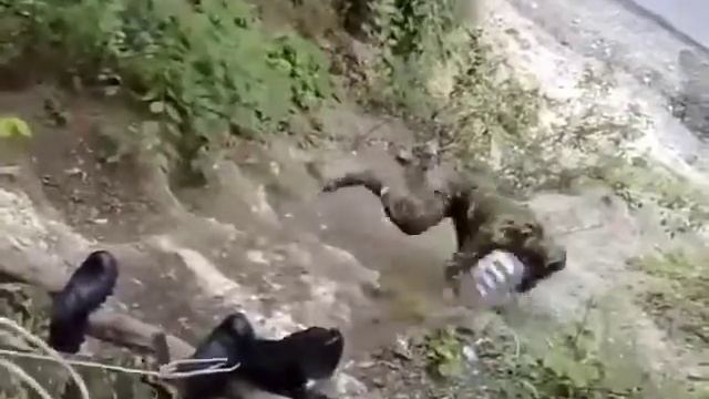Mission failed.Как доставить на территорию части пивка. смотреть онлайн