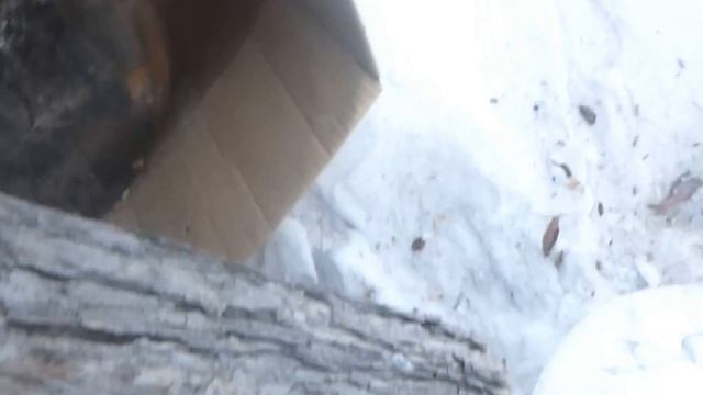 Отстрел ТОЗ 106 смотреть онлайн