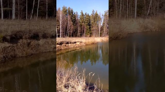 красивое озеро,прекрасное место отдыха смотреть онлайн