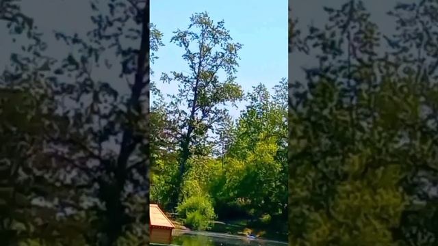 Юрий Антонов Над крышей дома твоего.. смотреть онлайн