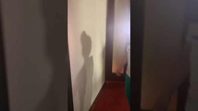 Обзор на отель в городе Краснодаре в редроял смотреть онлайн