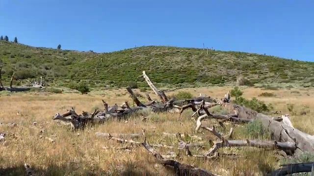 Со снаряжением в горы смотреть онлайн