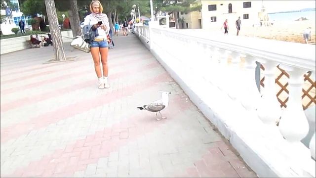 Геленджик Часть 11 смотреть онлайн