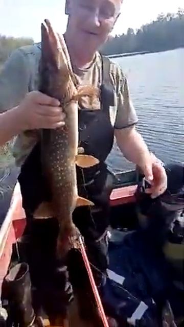 новоаганск 86 смотреть онлайн