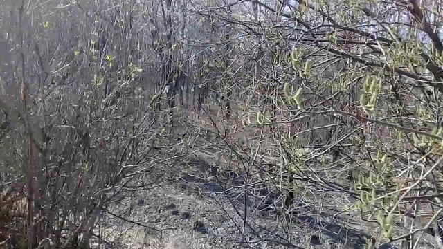 Исследования на Чашин кургане 2 смотреть онлайн