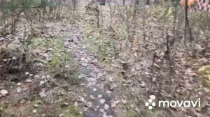 Люди свалки Минск.Витёк мусорщик