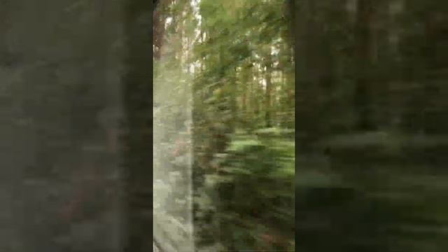 Я и ЧЕЛЯБИНСК 2 часть ✈️ смотреть онлайн