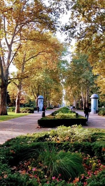 Краснодар утром осень 2022 #краснодар #утро #осень2022 смотреть онлайн