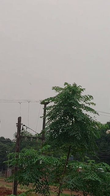 Дым от пожаров в Амазонке доходит до нас