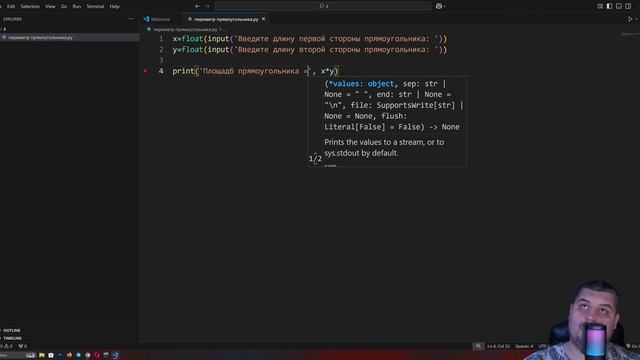 📌 Периметр прямоугольника на Python | Простое объяснени? смотреть онлайн