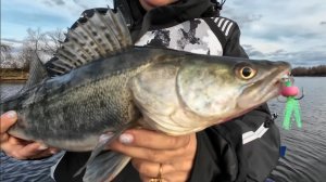 НАША РЫБАЛКА В АСТРАХАНИ (март 2025) часть (3)