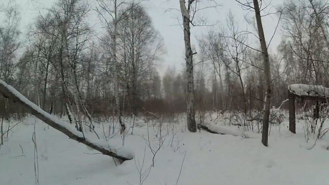 Поход с Толяном на охотничьих лыжах, бушкрафт смотреть онлайн