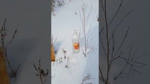 Тест патронов к травматике 9мм .9Р.А. использовался ИЖ 79 9Т 2004г.в.