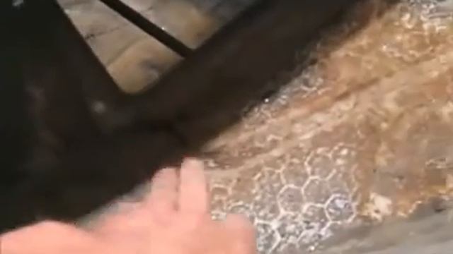 Для владельцев Audi 100 Полная ревизия кузова Слабые места смотреть онлайн