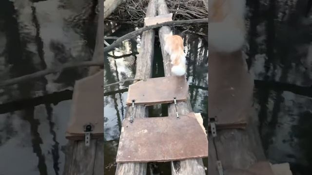 Море переплыл 🌊🌊🌊🌊🌊 смотреть онлайн