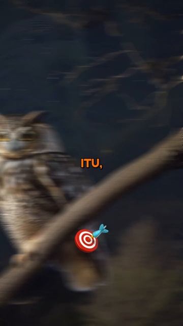Fakta Unik: Burung-Burung Yang Lucu Dan Menggemaskan 🐦🦉