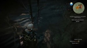 Ведьмак 3 Гайд где найти Улучшенное снаряжение Школы Волка