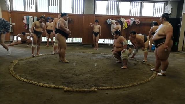 Entraînement de Sumo au Tamanoi-beya à Tokyo смотреть онлайн