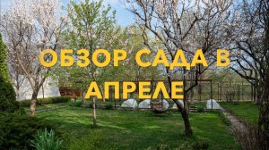 ЛЮБИМАЯ ДАЧА В АПРЕЛЕ