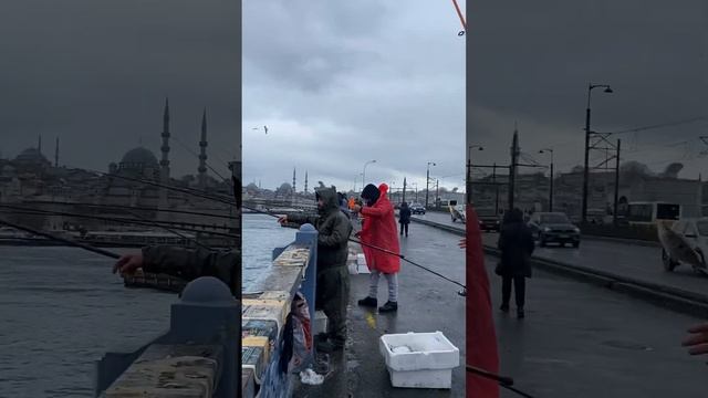 Рыбалка в Стамбуле смотреть онлайн