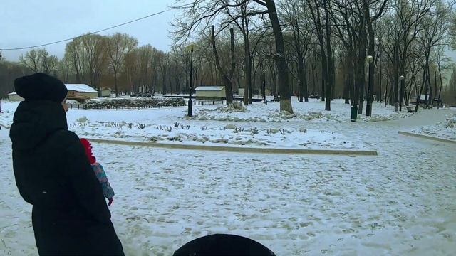 Парк Гагарина в Самаре смотреть онлайн