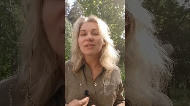 Альфа-Гравити польза. смотреть онлайн