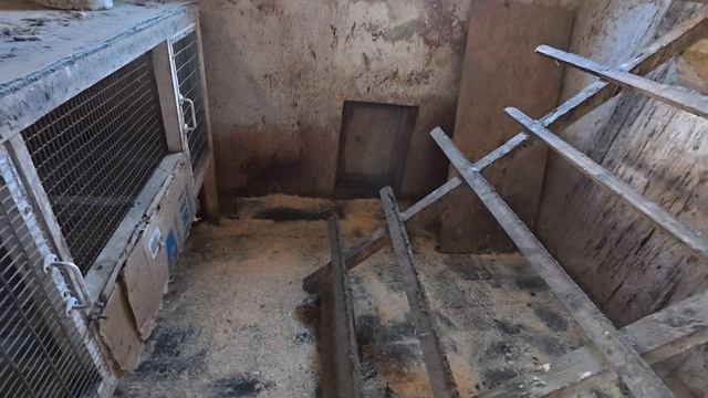 Каждый день с пользой. Закон нарушать нельзя, делаем для себя смотреть онлайн