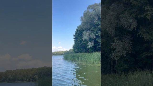 Белые берега смотреть онлайн