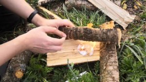 Парафиновые диски для растопки костра ИЗГОТОВЛЕНИЕ + ТЕСТИРОВАНИЕ