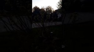 Санаторий Металлург - Сочи. Территория санатория. Чёрное море/Sanatorium Metallurg - Sochi Black Se