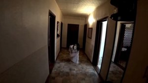 короче говоря момо в реальной жизни