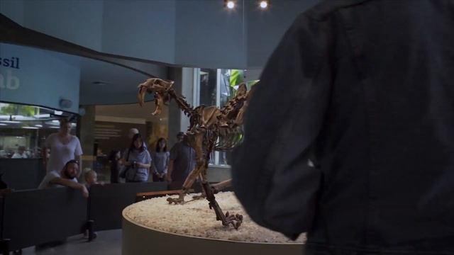 It's Saber-toothed Summer at La Brea Tar Pits! смотреть онлайн