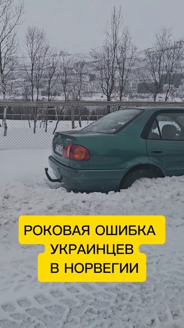 ГЛАВНАЯ ОШИБКА УКРАИНЦЕВ В НОРВЕГИИ ! смотреть онлайн