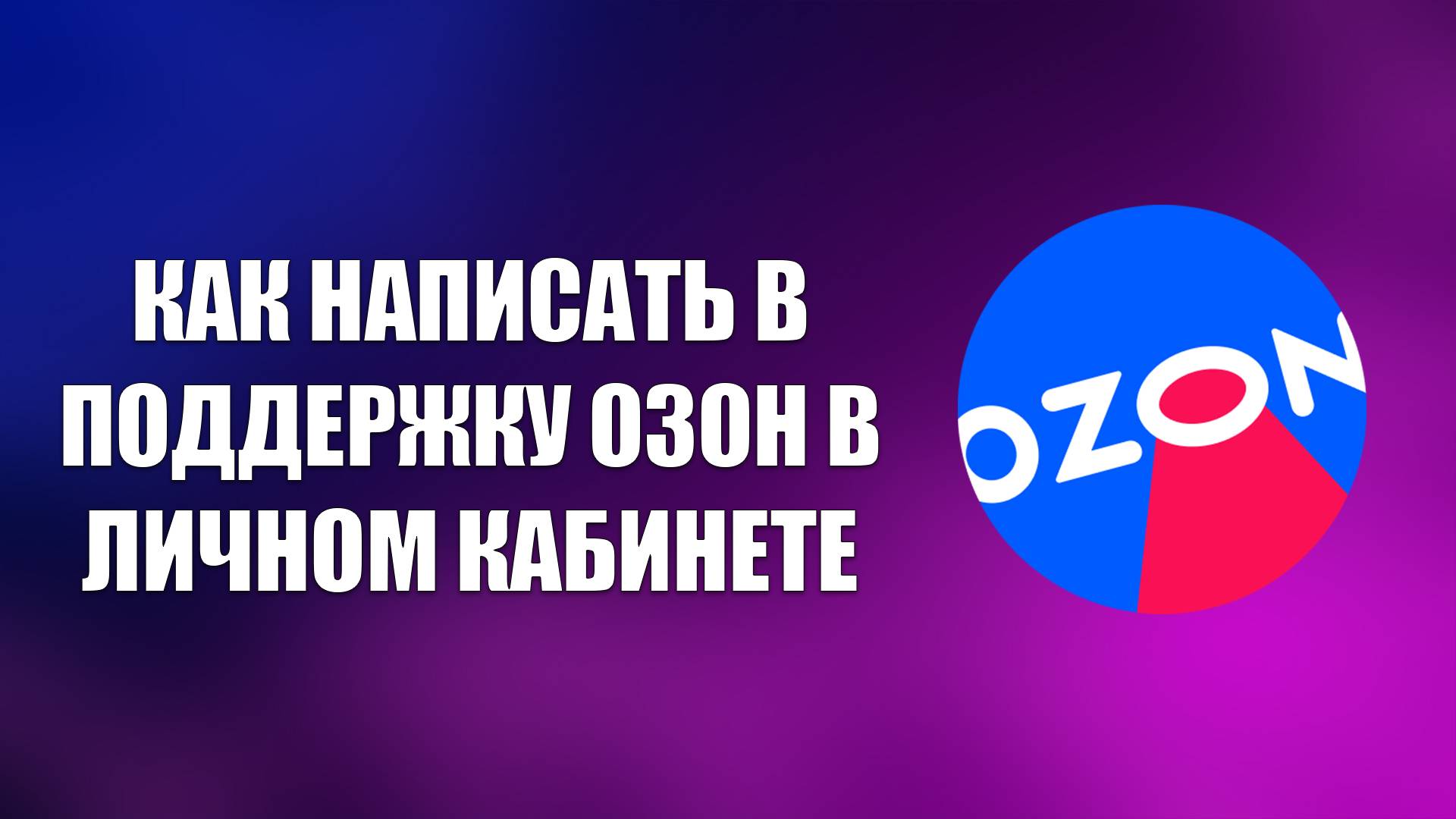 Всезнающий Енот