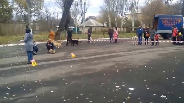 Макеевская выставка 30 10 2016 3 смотреть онлайн