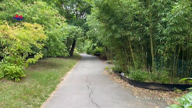 Sir Harold gardens сады смотреть онлайн