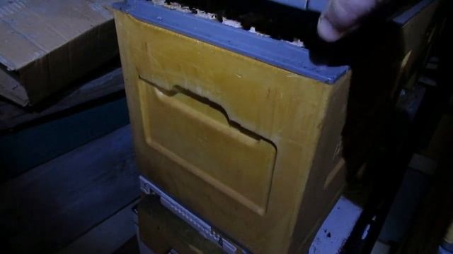 накосячил с пчелами в зимовнике, приходится исправлять ошибки - 28 января 2023 год смотреть онлайн