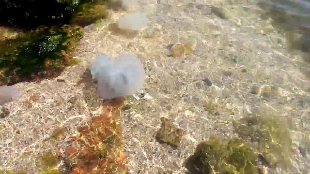 море, Бердянск смотреть онлайн