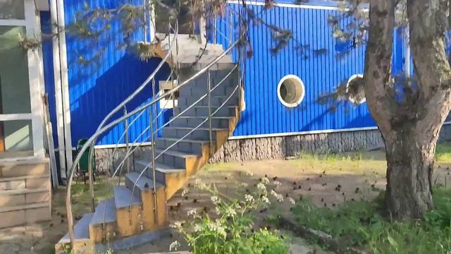 Дети в саду поставили палатку и устроили пикник и ночёвку смотреть онлайн