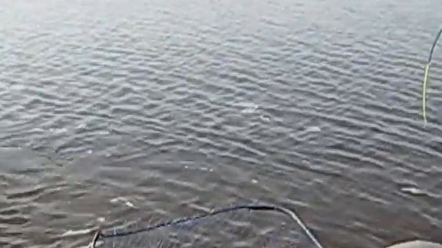 рыбалка в астрахане 08.08.2013 смотреть онлайн